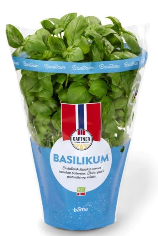 Product Image for Basilikum 12cm Stor Potte