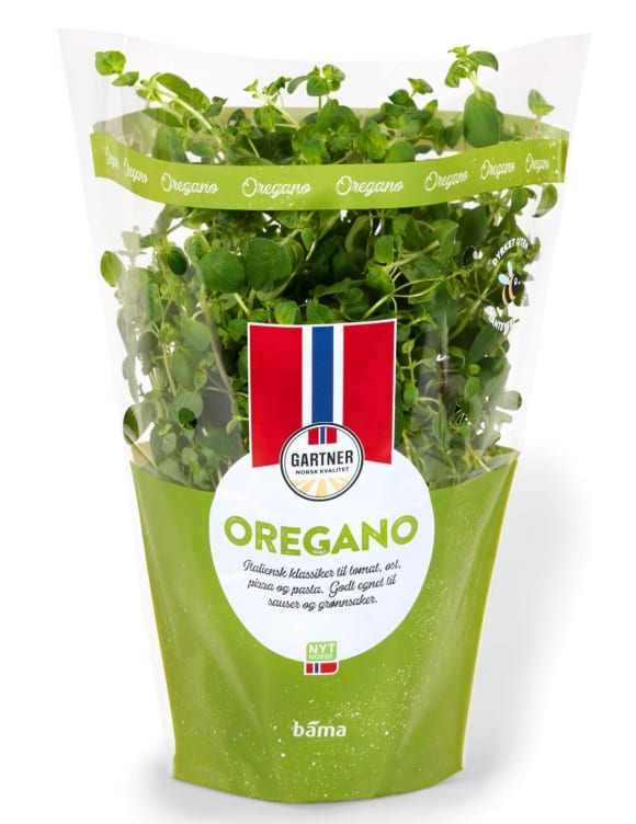 Product Image for Oregano 12cm Stor Potte
