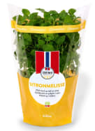 Produktbilde: Sitronmelisse