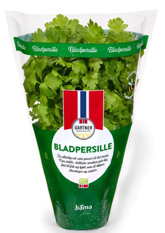 Bladpersille 9cm Potte