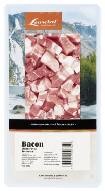Bacon Terna