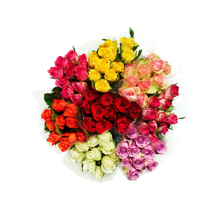 Product Image for Roser 10pk 45cm Ass. Farger