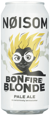 Nøisom Bonfire