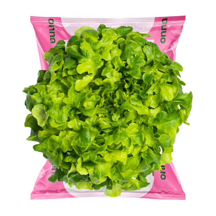 Product Image for Kjekkas Grønn Ekeblad Salat 140g Onna