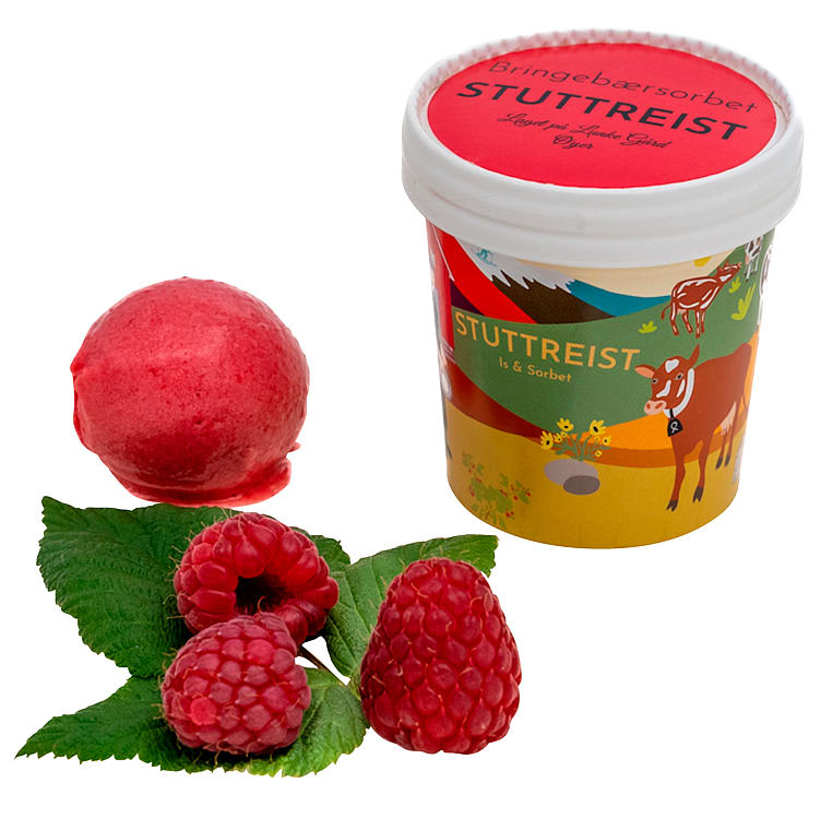 Bringebærsorbet 125ml Stuttreist