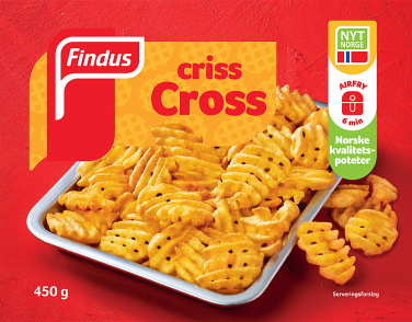 Criss Cross Fries