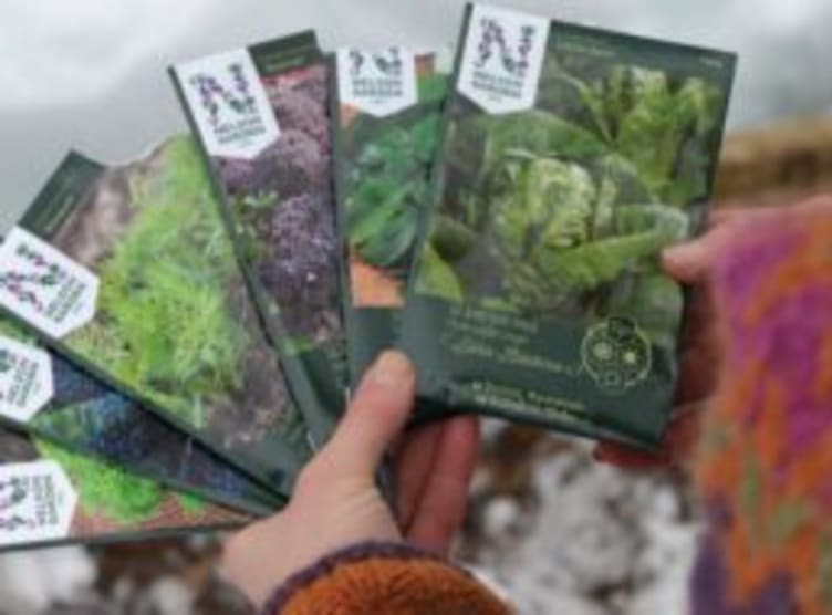 Frø Gruppe 5 Nelson Garden