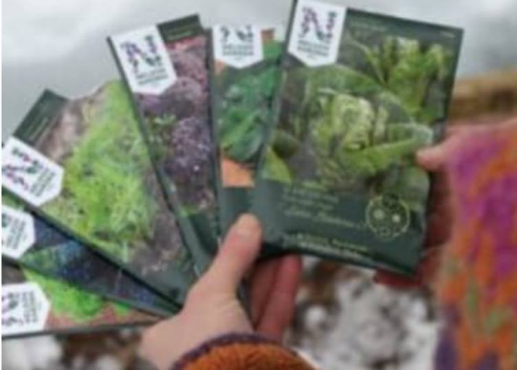 Nelson Garden Frø Gr.4