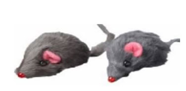 Katteleke Pelsmus 2stk