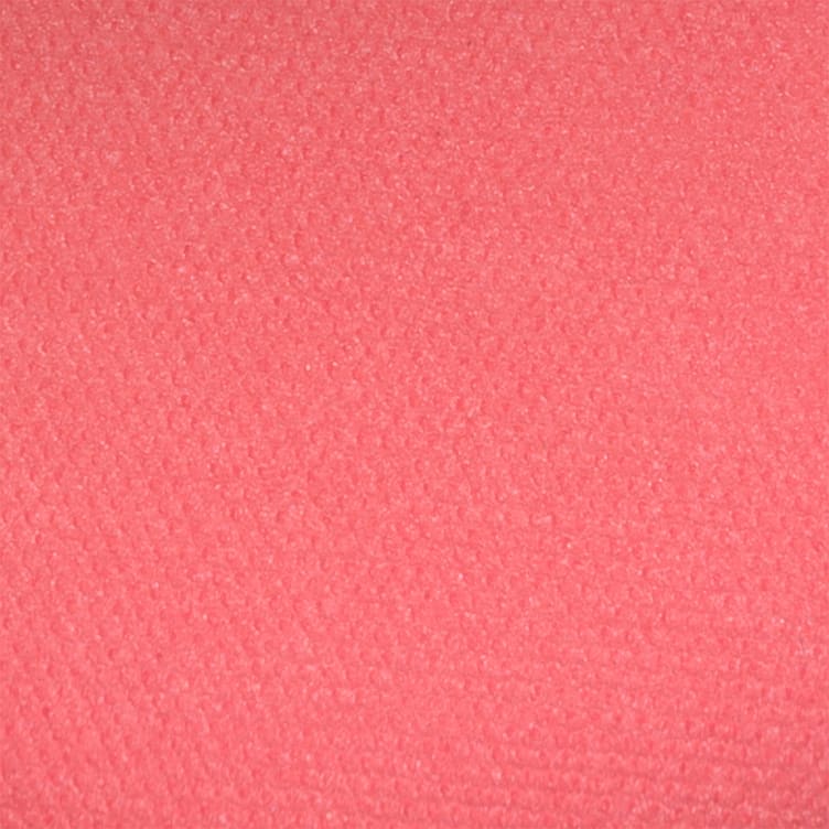 Perfect Blush Rouge 5 Coral Pink Isadora