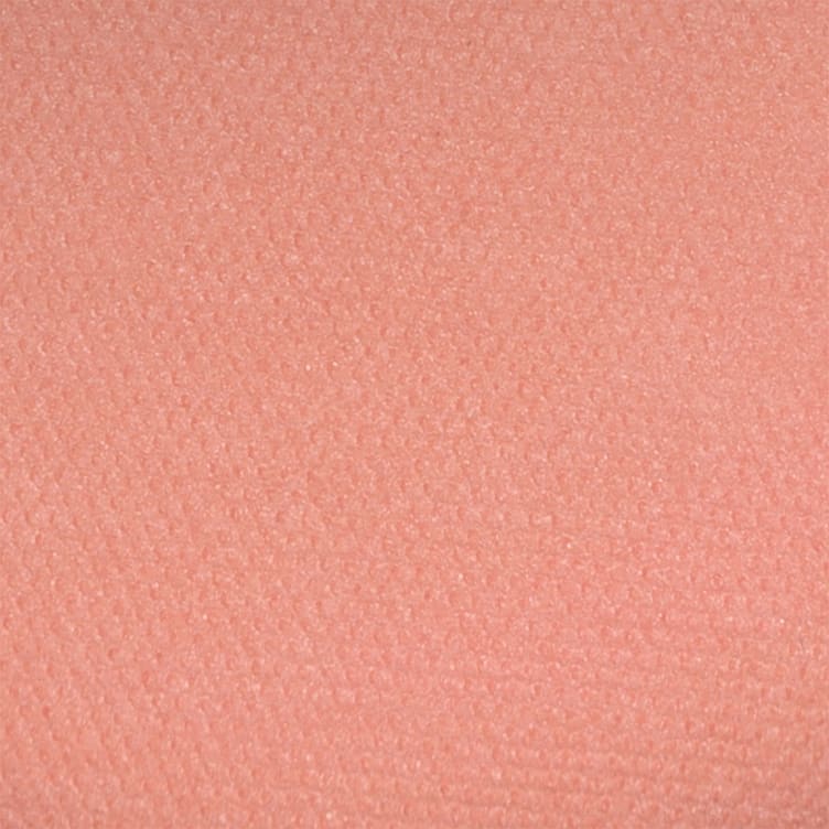 Perfect Blush Rouge 9 Rose Nude Isadora