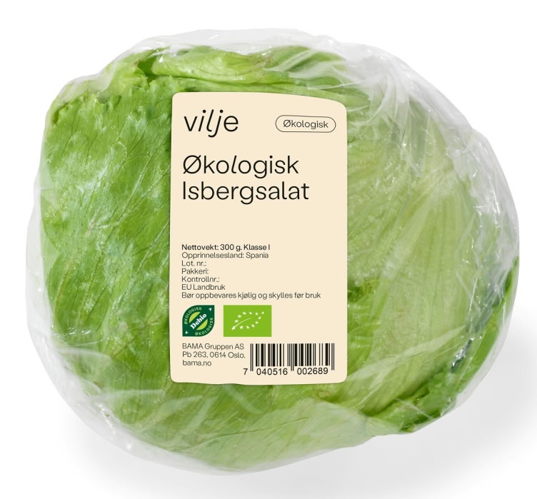 Isbergsalat Økologisk stykk Vilje