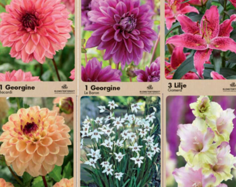 Høstløk Ass Utvalg